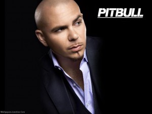 pitbull-wallpaper-pitbull-rapper-25094094-1024-768.jpg